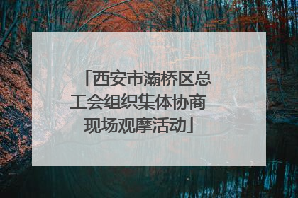 西安市灞桥区总工会组织集体协商现场观摩活动