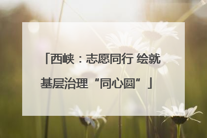 西峡：志愿同行 绘就基层治理“同心圆”