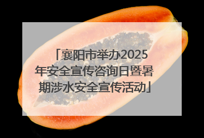 襄阳市举办2025年安全宣传咨询日暨暑期涉水安全宣传活动