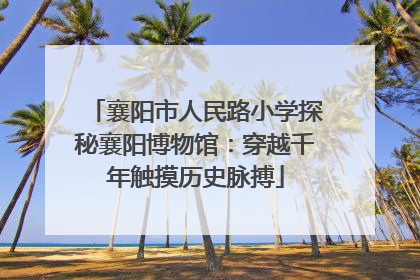 襄阳市人民路小学探秘襄阳博物馆：穿越千年触摸历史脉搏
