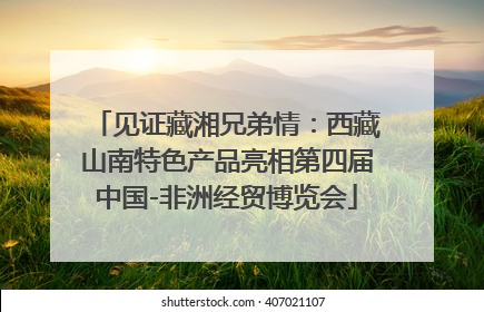 见证藏湘兄弟情：西藏山南特色产品亮相第四届中国-非洲经贸博览会