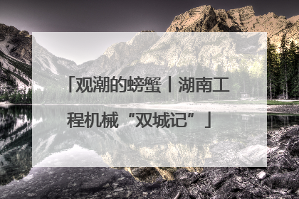 观潮的螃蟹丨湖南工程机械“双城记”