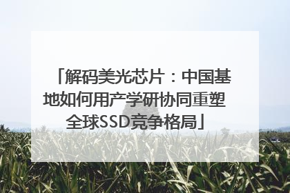 解码美光芯片：中国基地如何用产学研协同重塑全球SSD竞争格局