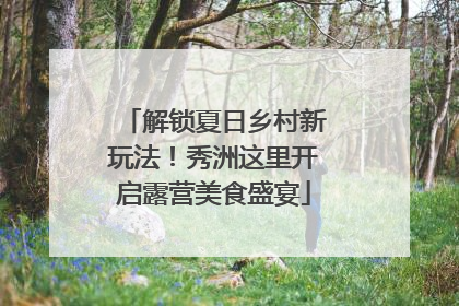 解锁夏日乡村新玩法！秀洲这里开启露营美食盛宴