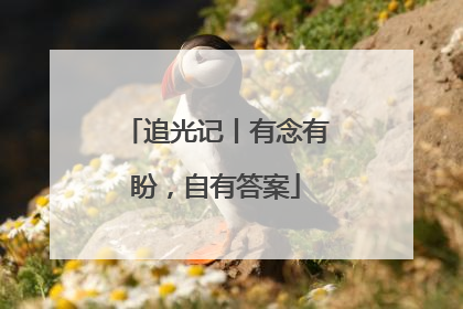 追光记丨有念有盼，自有答案