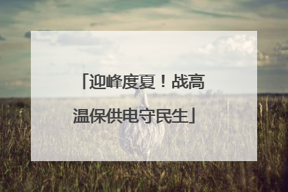 迎峰度夏！战高温保供电守民生