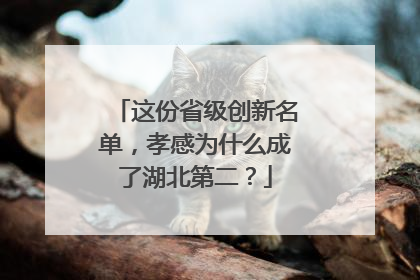 这份省级创新名单，孝感为什么成了湖北第二？