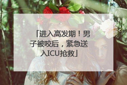 进入高发期！男子被咬后，紧急送入ICU抢救