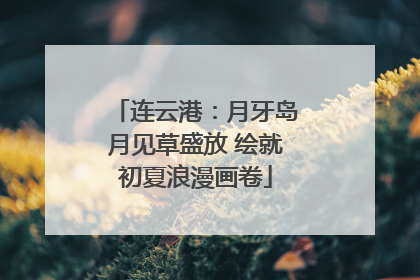 连云港：月牙岛月见草盛放 绘就初夏浪漫画卷