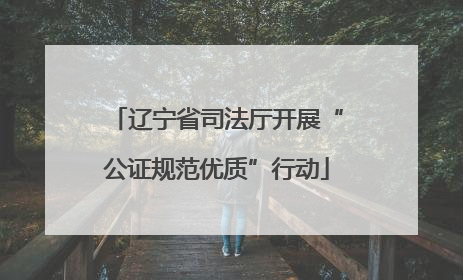 辽宁省司法厅开展“公证规范优质”行动