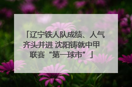 辽宁铁人队成绩、人气齐头并进 沈阳铸就中甲联赛“第一球市”