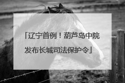辽宁首例！葫芦岛中院发布长城司法保护令
