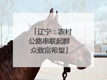 辽宁：农村公路串联起群众致富希望