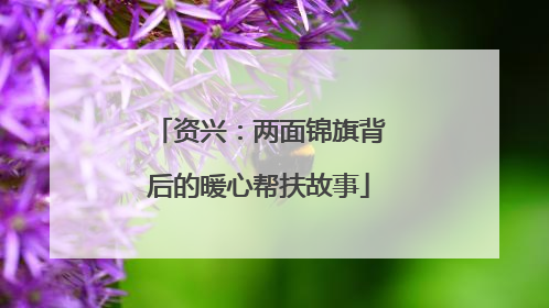 资兴：两面锦旗背后的暖心帮扶故事