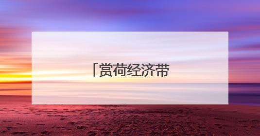 赏荷经济带动乡村游