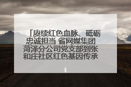 赓续红色血脉、砥砺忠诚担当 省网媒集团菏泽分公司党支部到张和庄社区红色基因传承馆开展主题党日活动