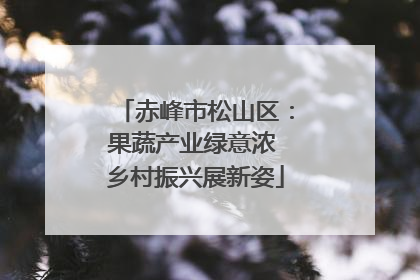 赤峰市松山区：果蔬产业绿意浓 乡村振兴展新姿
