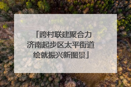 跨村联建聚合力 济南起步区太平街道绘就振兴新图景