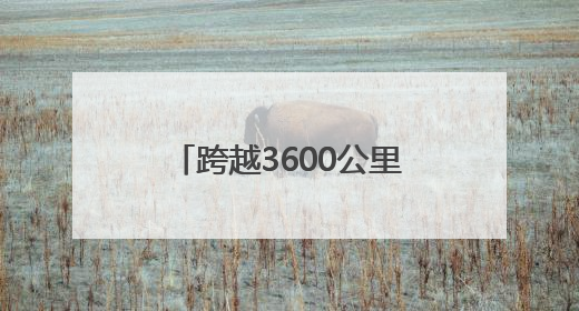 跨越3600公里的对话 西安-阿拉木图人文旅游交流周活动圆满落幕