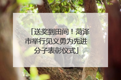送奖到田间！菏泽市举行见义勇为先进分子表彰仪式
