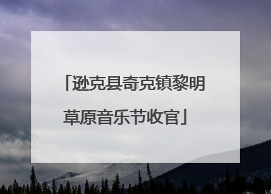 逊克县奇克镇黎明草原音乐节收官