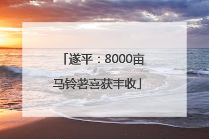 遂平：8000亩马铃薯喜获丰收