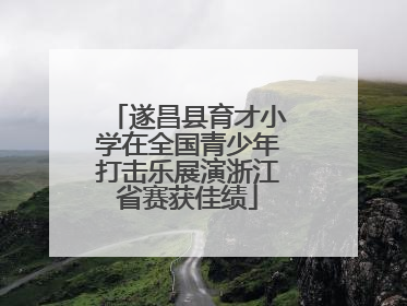 遂昌县育才小学在全国青少年打击乐展演浙江省赛获佳绩