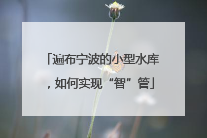 遍布宁波的小型水库，如何实现“智”管
