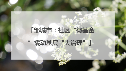 邹城市：社区“微基金”撬动基层“大治理”