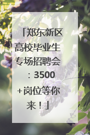 郑东新区高校毕业生专场招聘会：3500+岗位等你来！