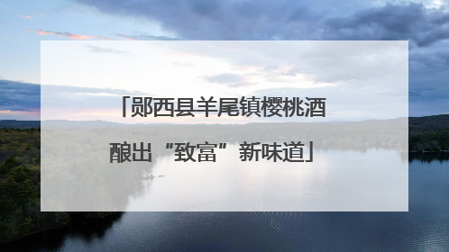 郧西县羊尾镇樱桃酒酿出“致富”新味道