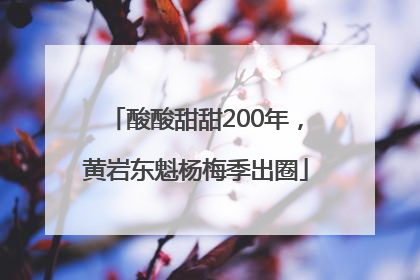 酸酸甜甜200年，黄岩东魁杨梅季出圈