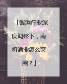 酱酒行业深度调整下，南将酒业怎么突围？