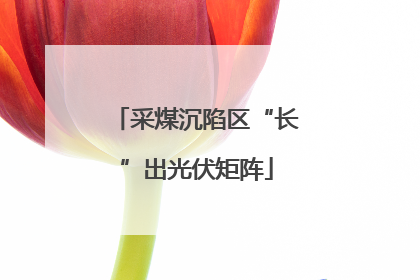 采煤沉陷区“长”出光伏矩阵