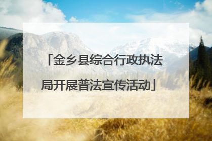 金乡县综合行政执法局开展普法宣传活动