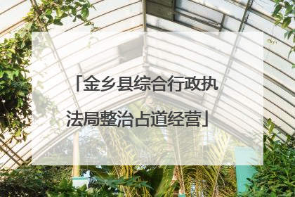 金乡县综合行政执法局整治占道经营