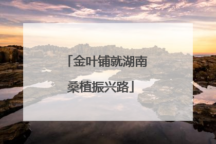 金叶铺就湖南桑植振兴路