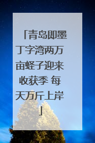 青岛即墨丁字湾两万亩蛏子迎来收获季 每天万斤上岸