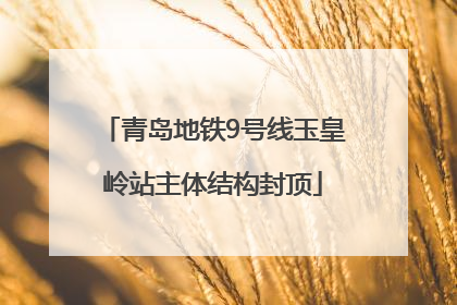 青岛地铁9号线玉皇岭站主体结构封顶