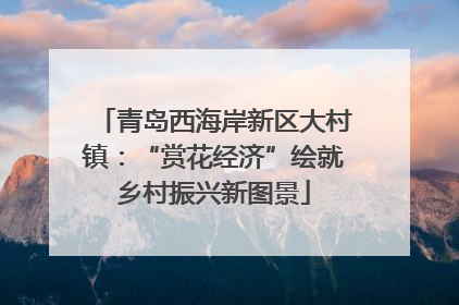 青岛西海岸新区大村镇：“赏花经济”绘就乡村振兴新图景