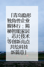 青岛隐形独角兽企业媒体行：揭秘智能家居、芯片技术等创新亮点 共绘科技新篇章