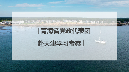 青海省党政代表团赴天津学习考察
