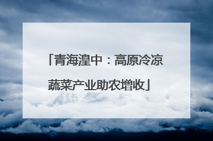青海湟中：高原冷凉蔬菜产业助农增收