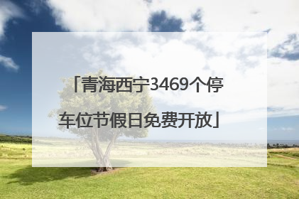 青海西宁3469个停车位节假日免费开放