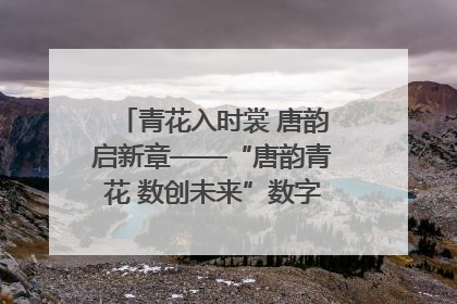 青花入时裳 唐韵启新章——“唐韵青花 数创未来”数字文创设计大赛启幕