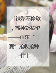 铁犁不停歇，播种新希望——山东“三夏”抢收抢种忙