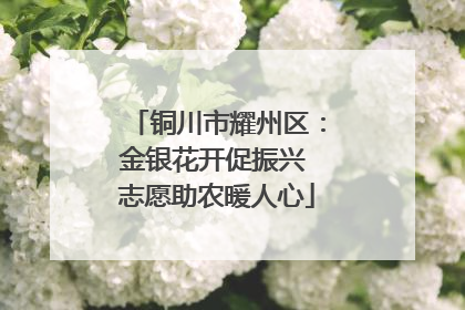 铜川市耀州区：金银花开促振兴 志愿助农暖人心