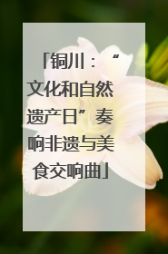 铜川：“文化和自然遗产日”奏响非遗与美食交响曲