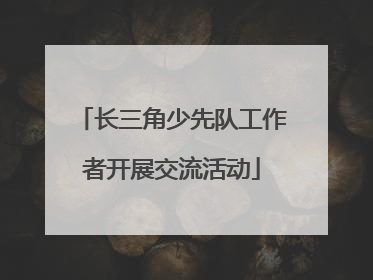 长三角少先队工作者开展交流活动
