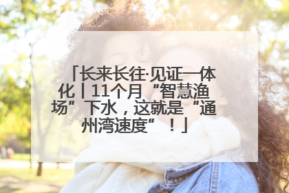 长来长往·见证一体化丨11个月“智慧渔场”下水，这就是“通州湾速度”！